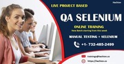 QA Live Online Tarinings